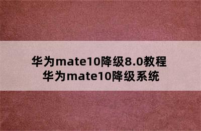 华为mate10降级8.0教程 华为mate10降级系统